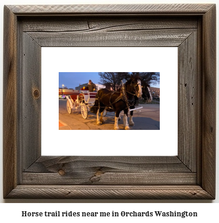 horse trail rides near me in Orchards, Washington